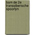 Bam de 2e transsiberische spoorlyn