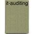 IT-auditing