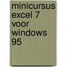 Minicursus Excel 7 voor Windows 95 door P. Kooijman