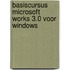 Basiscursus Microsoft Works 3.0 voor Windows