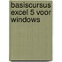 Basiscursus Excel 5 voor Windows