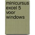 Minicursus Excel 5 voor Windows