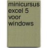 Minicursus Excel 5 voor Windows by P. Kooijman