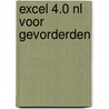 Excel 4.0 NL voor gevorderden by G. Bruijnes