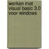 Werken met Visual Basic 3.0 voor Windows
