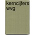 Kerncijfers Wvg