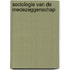 Sociologie van de medezeggenschap