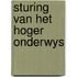 Sturing van het hoger onderwys