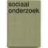 Sociaal onderzoek
