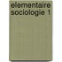 Elementaire sociologie 1
