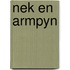 Nek en armpyn