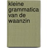 Kleine grammatica van de waanzin door Vervoorn
