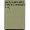 Werkbegeleiding intra extramurale zorg by Klomp