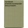 Handboek arbeidsvoorwaarden welzynswerk. door Piet Prins