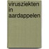 Virusziekten in aardappelen