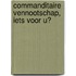Commanditaire vennootschap, iets voor u?