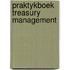 Praktykboek treasury management