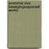 Anatomie vivo bewegingsapparaat werkb