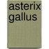 Asterix gallus