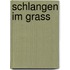 Schlangen im grass
