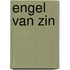 Engel van zin