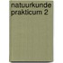 Natuurkunde prakticum 2