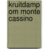 Kruitdamp om monte cassino