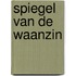 Spiegel van de waanzin