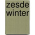 Zesde winter