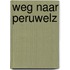 Weg naar peruwelz