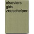 Elseviers gids zeeschelpen