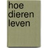 Hoe dieren leven