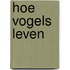 Hoe vogels leven