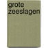 Grote zeeslagen