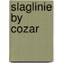 Slaglinie by cozar