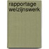 Rapportage welzijnswerk