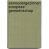 Eenoudergezinnen europese gemeenschap door Daan Pieters