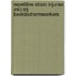 Repetitive Strain Injuries (RSI) bij beeldschermwerkers