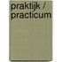 Praktijk / practicum