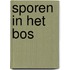 Sporen in het bos