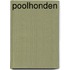 Poolhonden