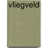 Vliegveld