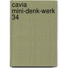 Cavia mini-denk-werk 34 door Onbekend