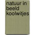 Natuur in beeld koolwitjes