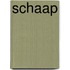 Schaap