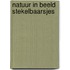 Natuur in beeld stekelbaarsjes