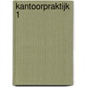 Kantoorpraktijk 1 door D.P. Boersma