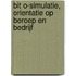 BIT O-simulatie, orientatie op beroep en bedrijf