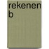 Rekenen b