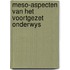 Meso-aspecten van het voortgezet onderwys